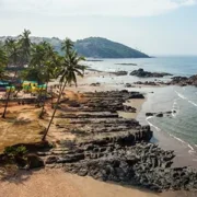 things-to-do-in-goa